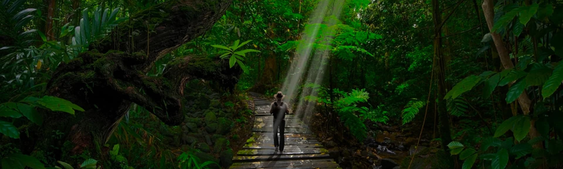 Contact Us for trekking in all over Uttarakhand